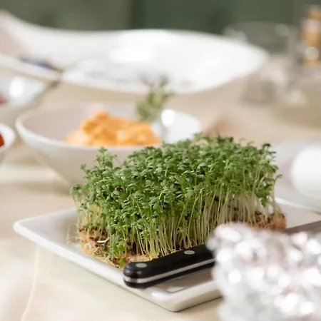 奈沃特酒店 招待所 3*